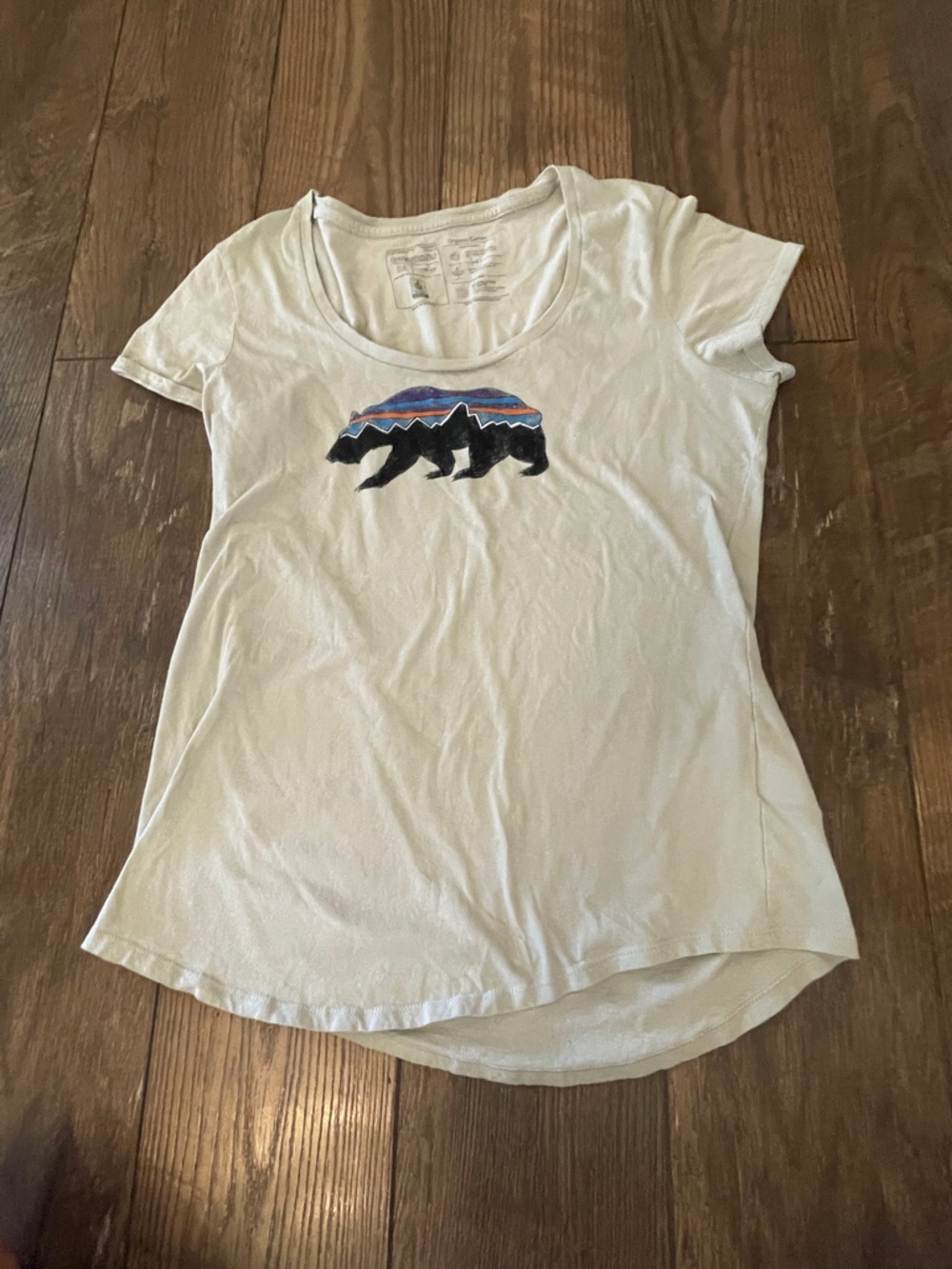 Patagonia Fitz Roy Bear Graphic Scoop Neck Tee Size M Slim Fit